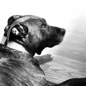 Meet your Posher, Ted